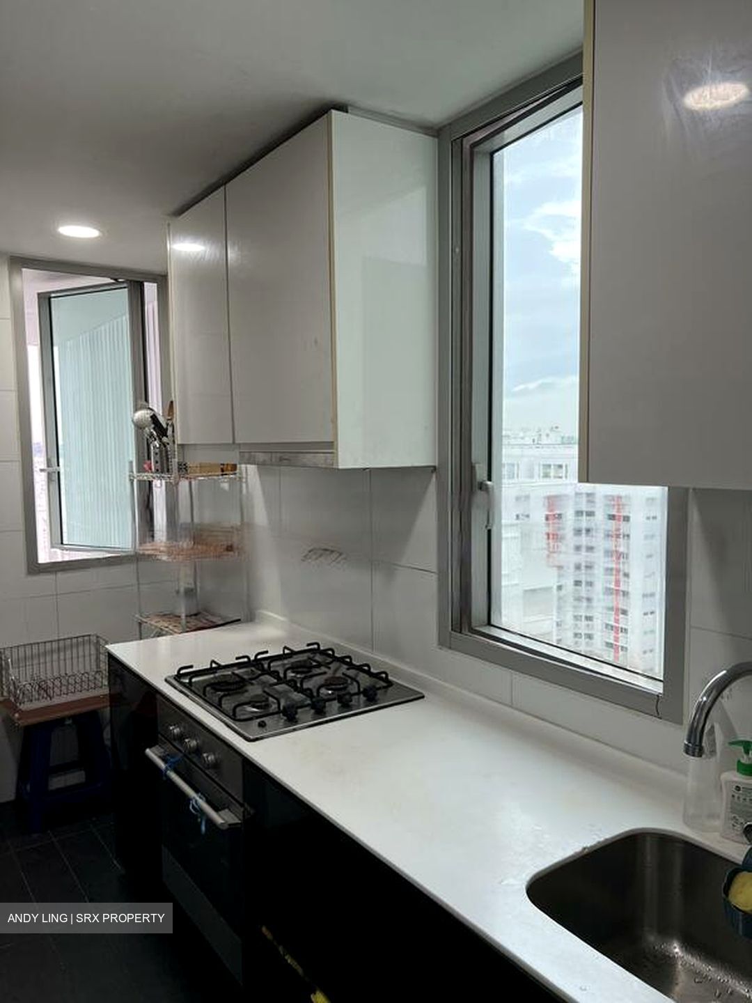 The Minton (D19), Condominium #513935751